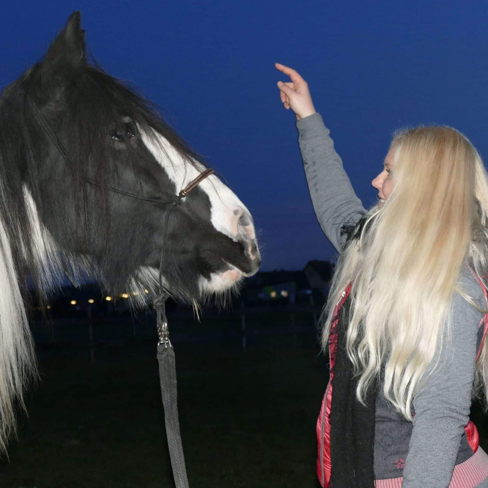 Therapiepferd in ruhiger Sitzung – Symbolbild für tiergestützte Therapie
